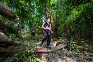 BIB: 
                            <button type="button" onclick="openModal(19388531)" class="btn btn-primary btn-sm float-right btn-popup" data-toggle="modal" data-target=".modal-high-quality">
                        <i class="fas fa-shopping-cart"></i> Add to Cart
                    </button>
                                            <button type="button" onclick="isThisMe(19388531, true)" class="btn btn-success btn-sm float-right btn-popup btn-isme hidden" data-toggle="tooltip" data-placement="bottom" title="นี่คือรูปของคุณใช่ไหม คลิกที่นี่เพื่อเอาเข้าอัลบั้ม">
                        <i class="fas fa-plus"></i> Add to album
                    </button>
                    <button type="button" onclick="isThisMe(19388531, false)" class="btn btn-warning btn-sm float-right btn-popup btn-isnotme hidden">
                        <i class="fas fa-ban"></i> Remove from album
                    </button>